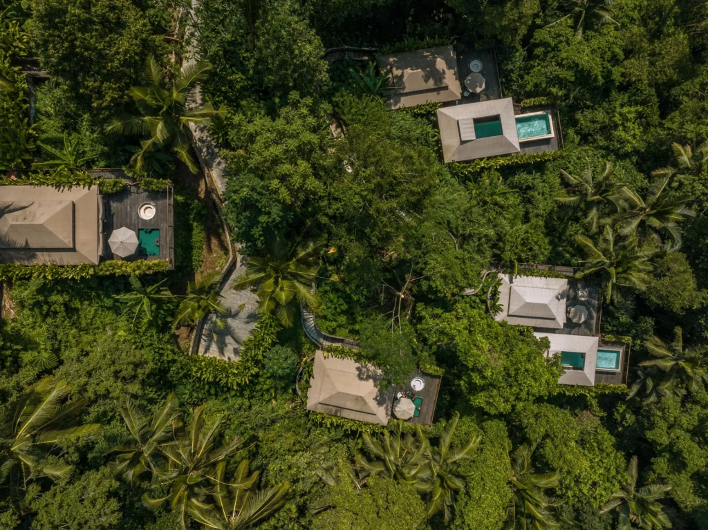 DJI 0154 1 1 1